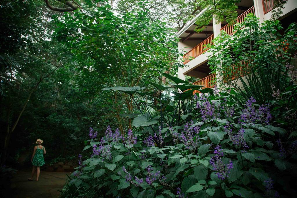 פורט שפסטון Honeywood Forest Lodge מראה חיצוני תמונה