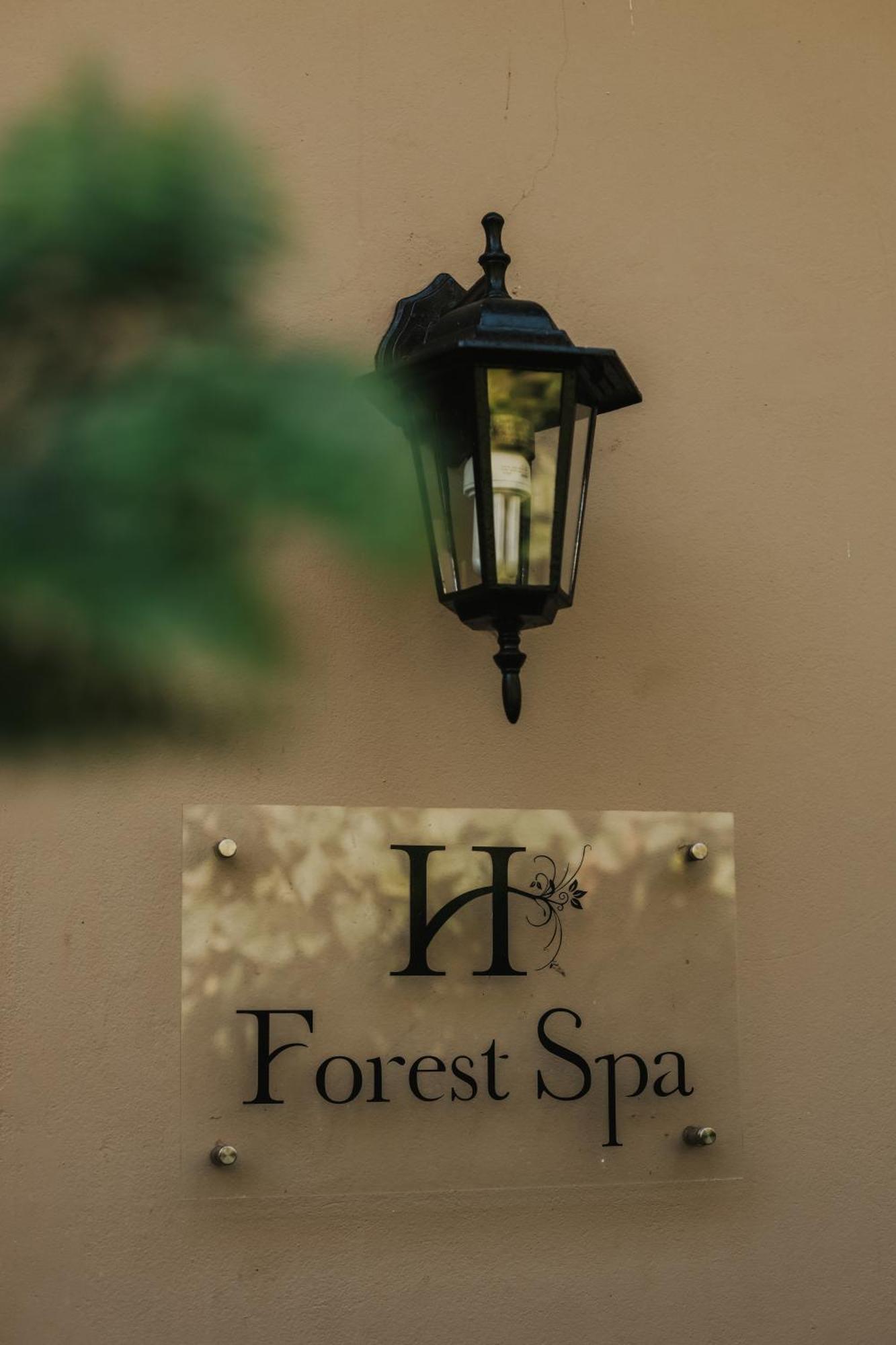 פורט שפסטון Honeywood Forest Lodge מראה חיצוני תמונה