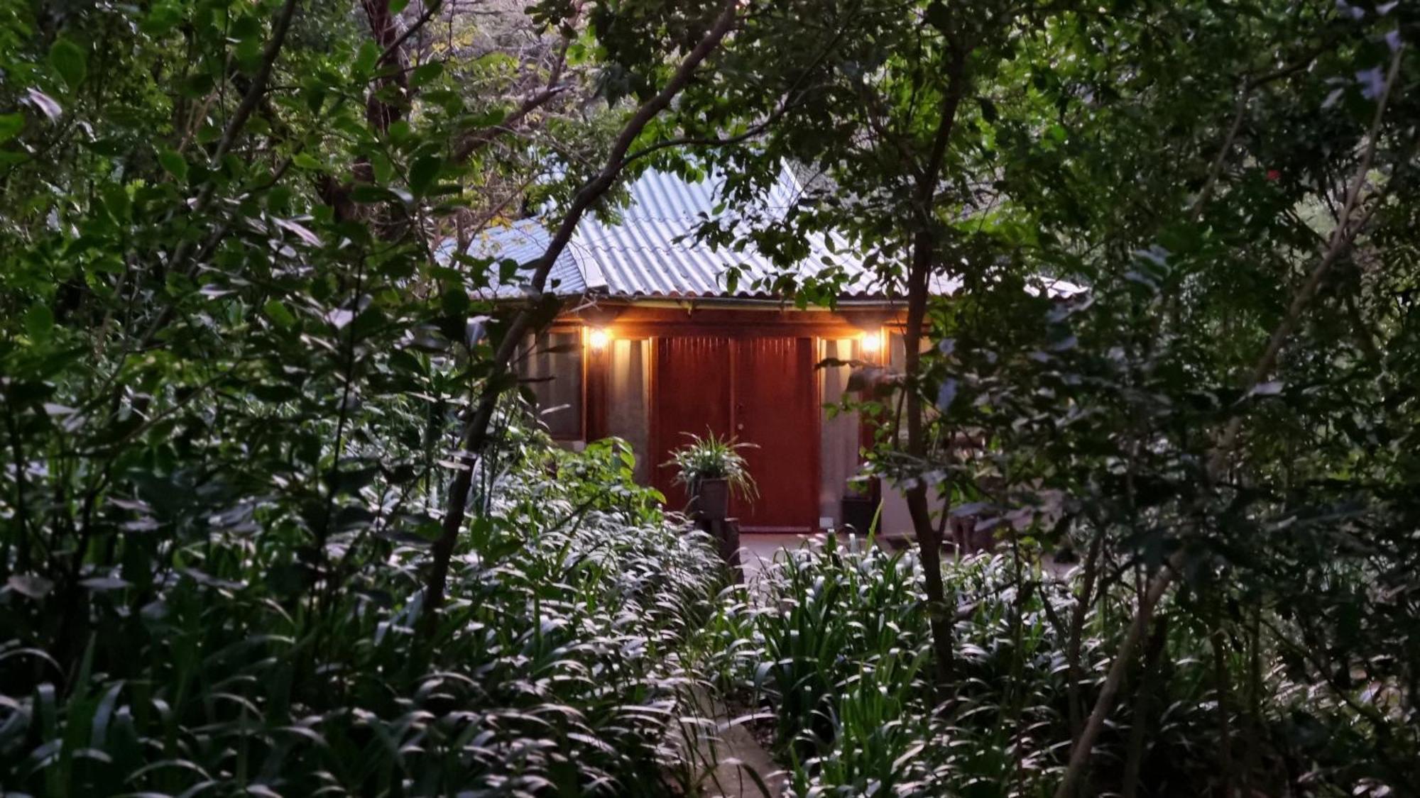 פורט שפסטון Honeywood Forest Lodge מראה חיצוני תמונה