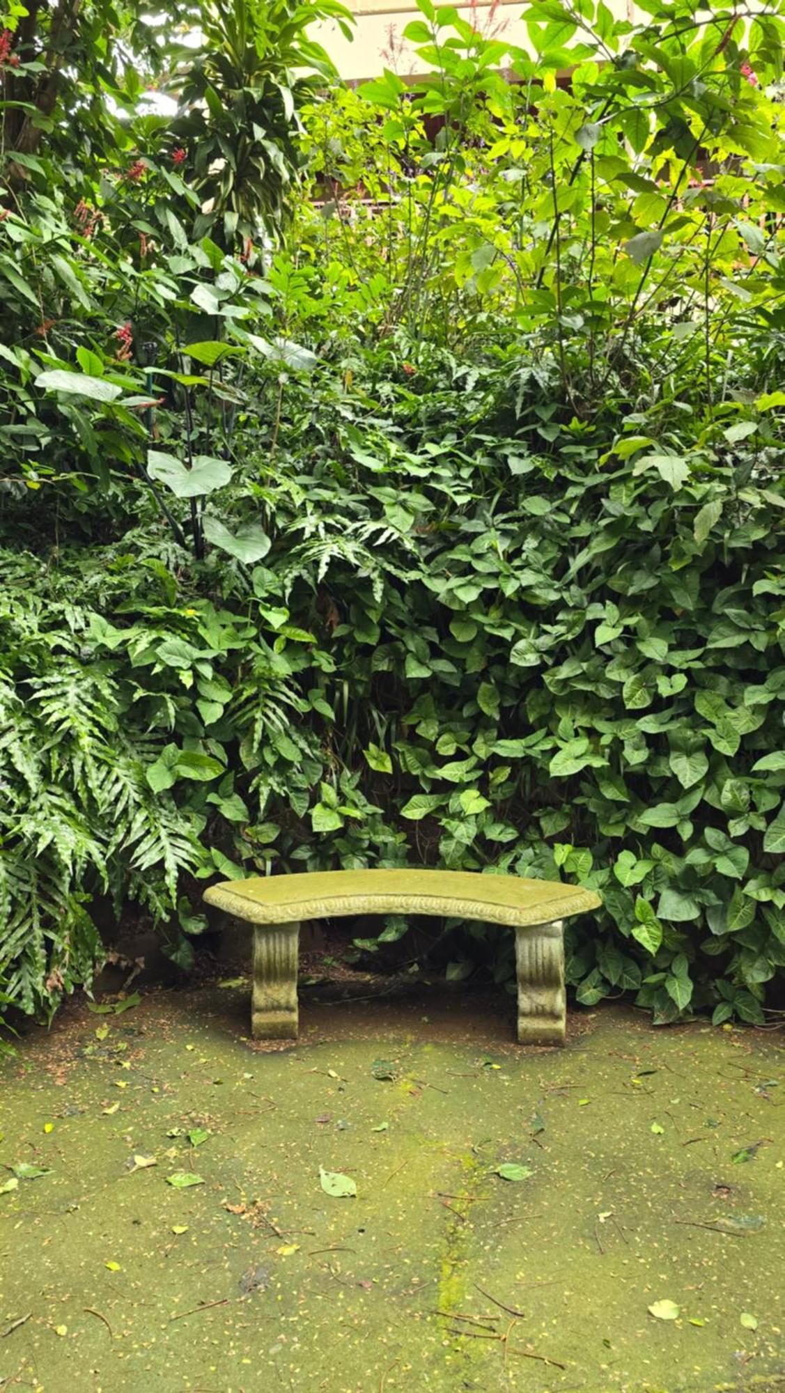פורט שפסטון Honeywood Forest Lodge מראה חיצוני תמונה
