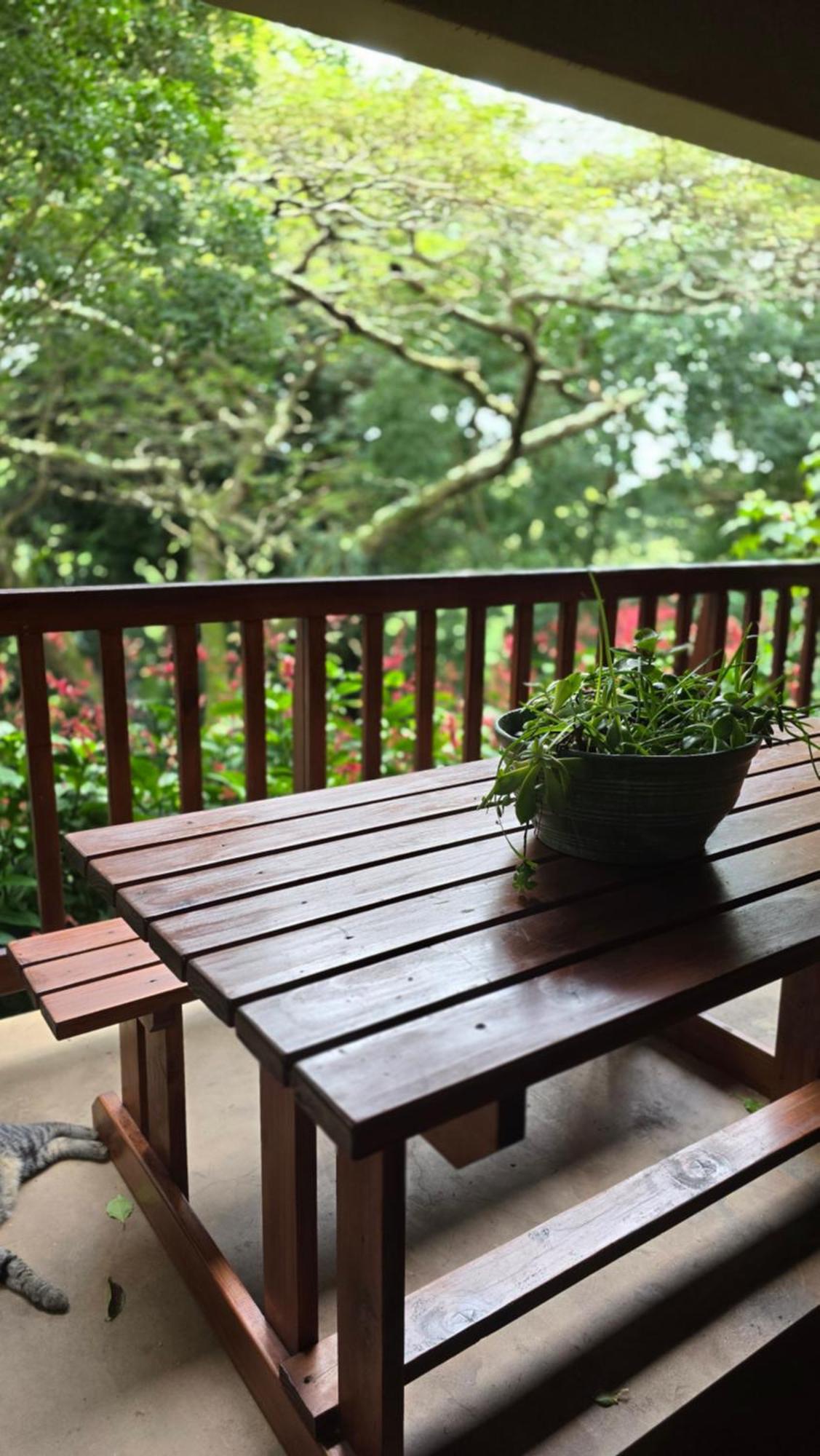 פורט שפסטון Honeywood Forest Lodge מראה חיצוני תמונה